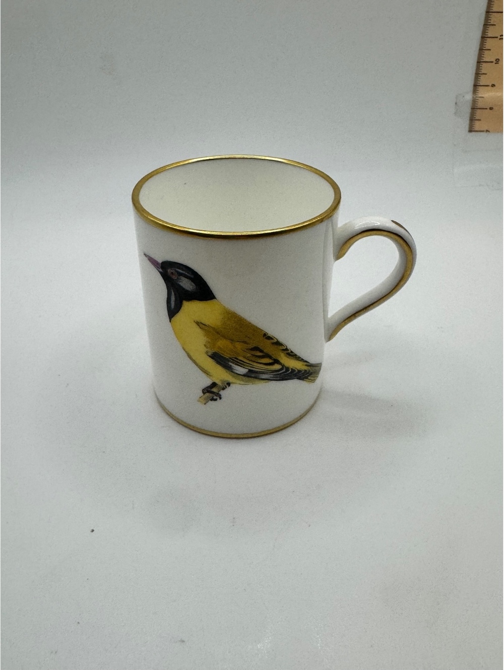 Vintage Hammersley & Co Bone China Mug with Black Headed Oriole Design